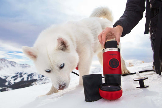 Red Nanopresso Patrol Series In The Wild | Wacaco