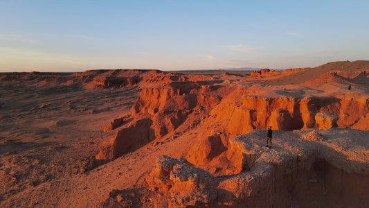 Summer Single Mug Brews and All the Mongolia Travel Hues