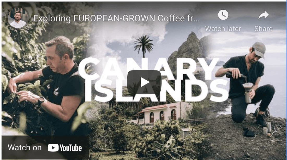 The Nomad Barista Episode 3: A Trip To One Of Europe's Only Coffee Farms | Wacaco