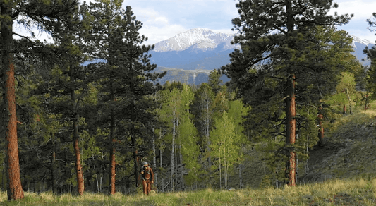 How to get hot water in the backcountry and while traveling. | Wacaco