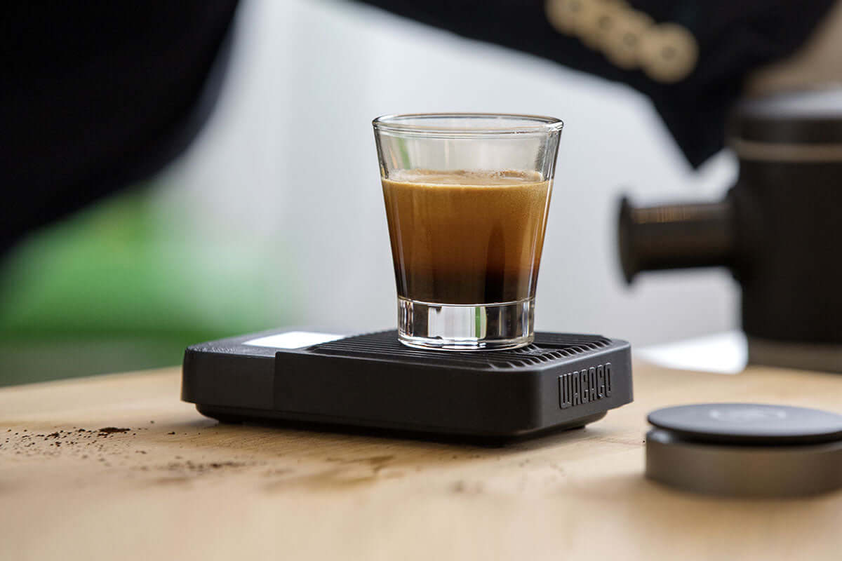  WACACO Nanopresso - Cafetera portátil de café con funda  protectora, versión mejorada, mini cafetera de viaje, perfecta para  campamento, viajes y oficina (Elements Chill White) : Todo lo demás